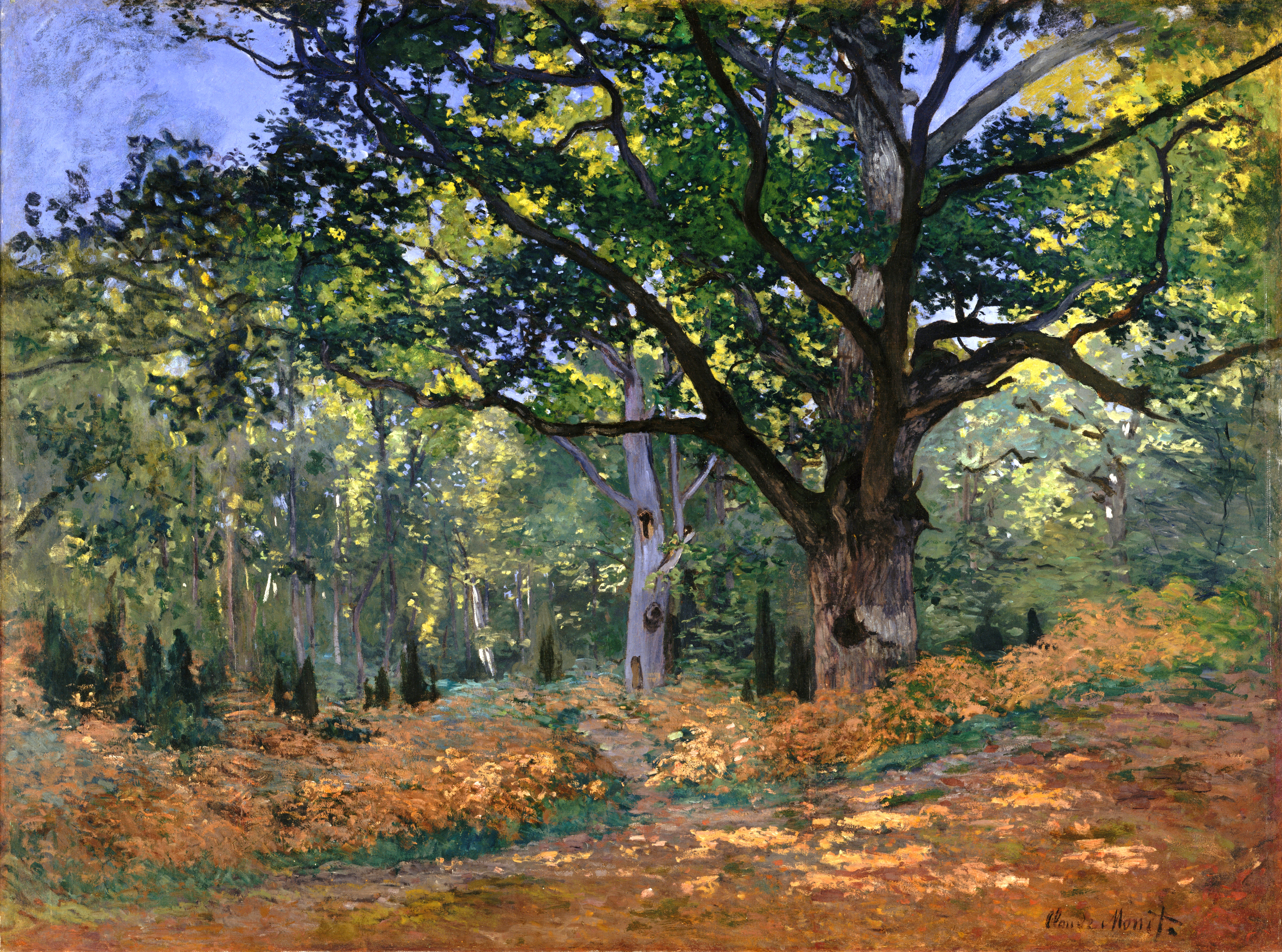 The Bodmer Oak, Fontainebleau Forest