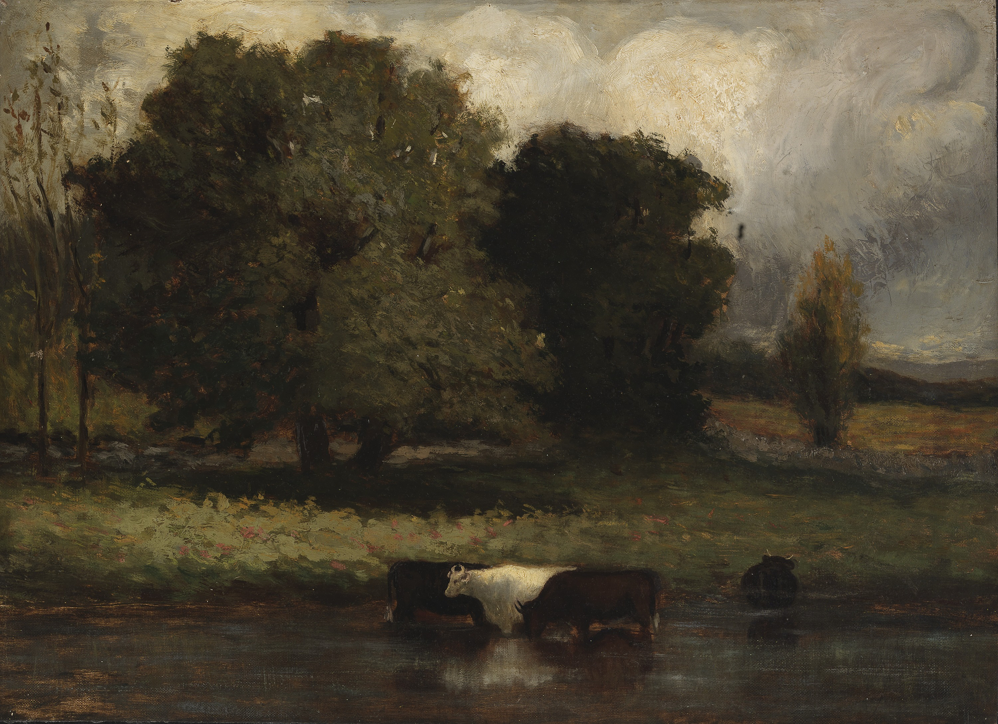 Untitled (Four Cows Wading in Pond)