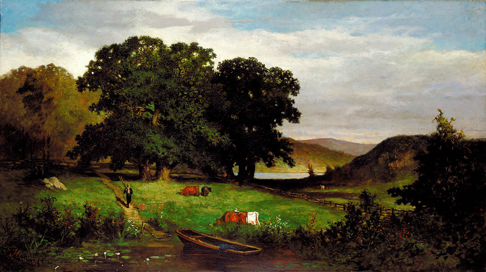 Oak Trees