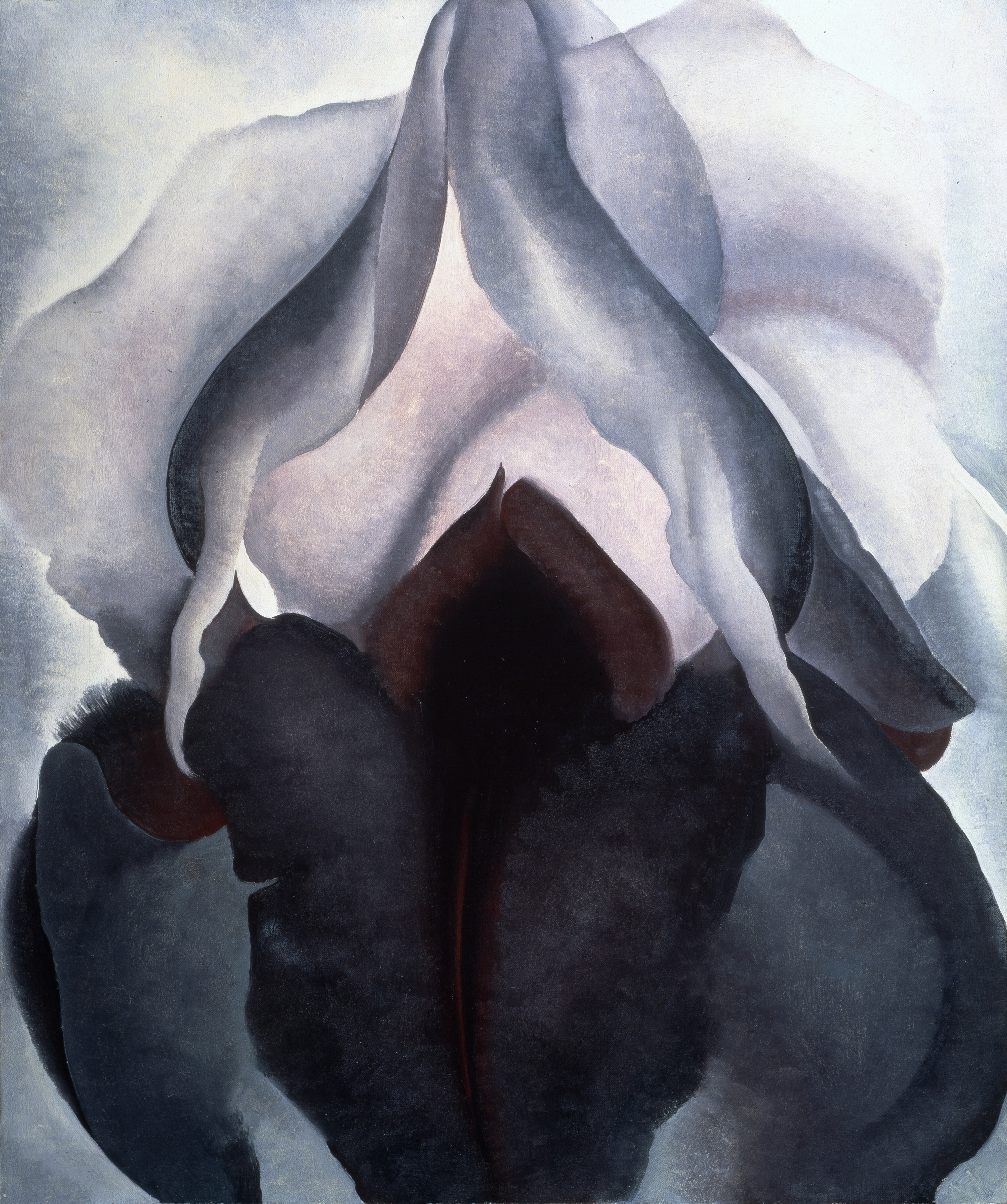 Black Iris