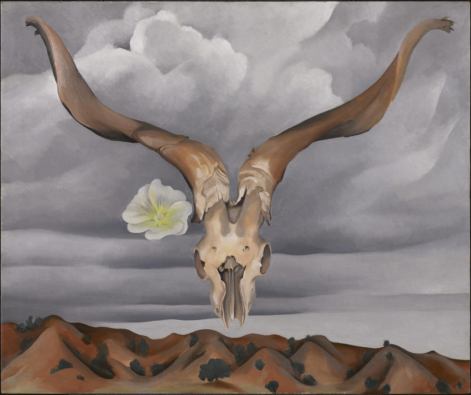Ram's Head, White Hollyhock-Hills