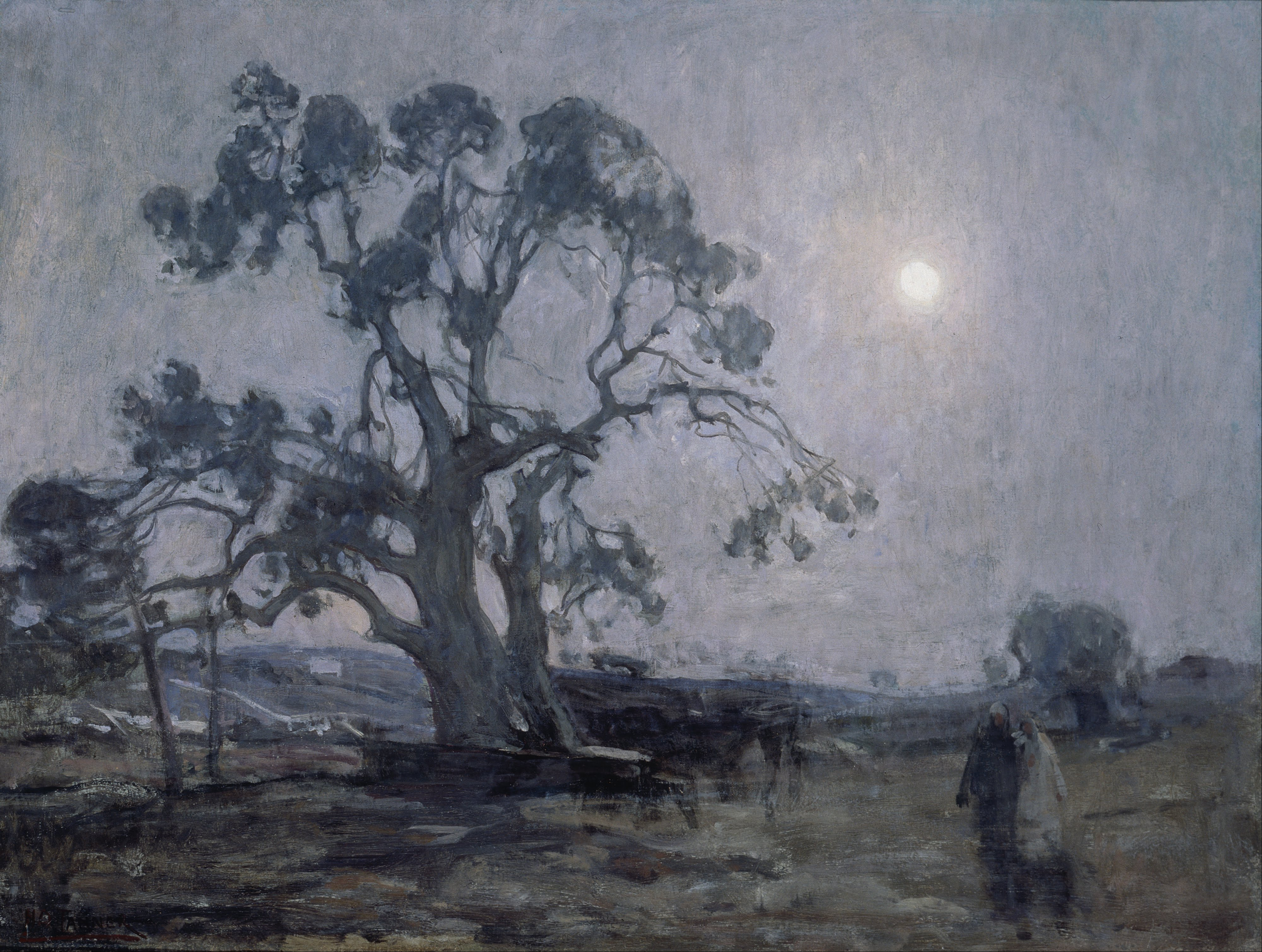 Abraham's Oak