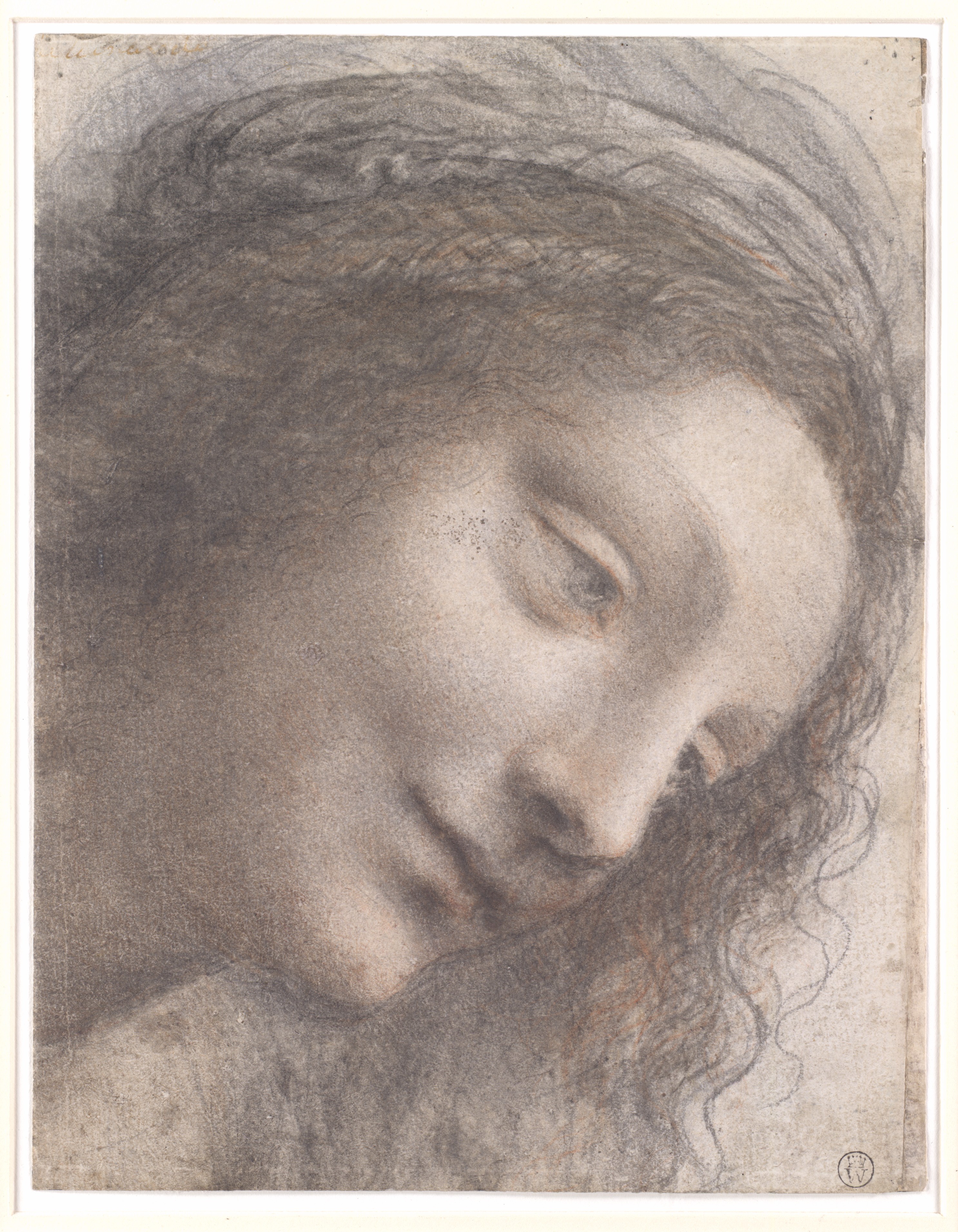 Leonardo da Vinci
