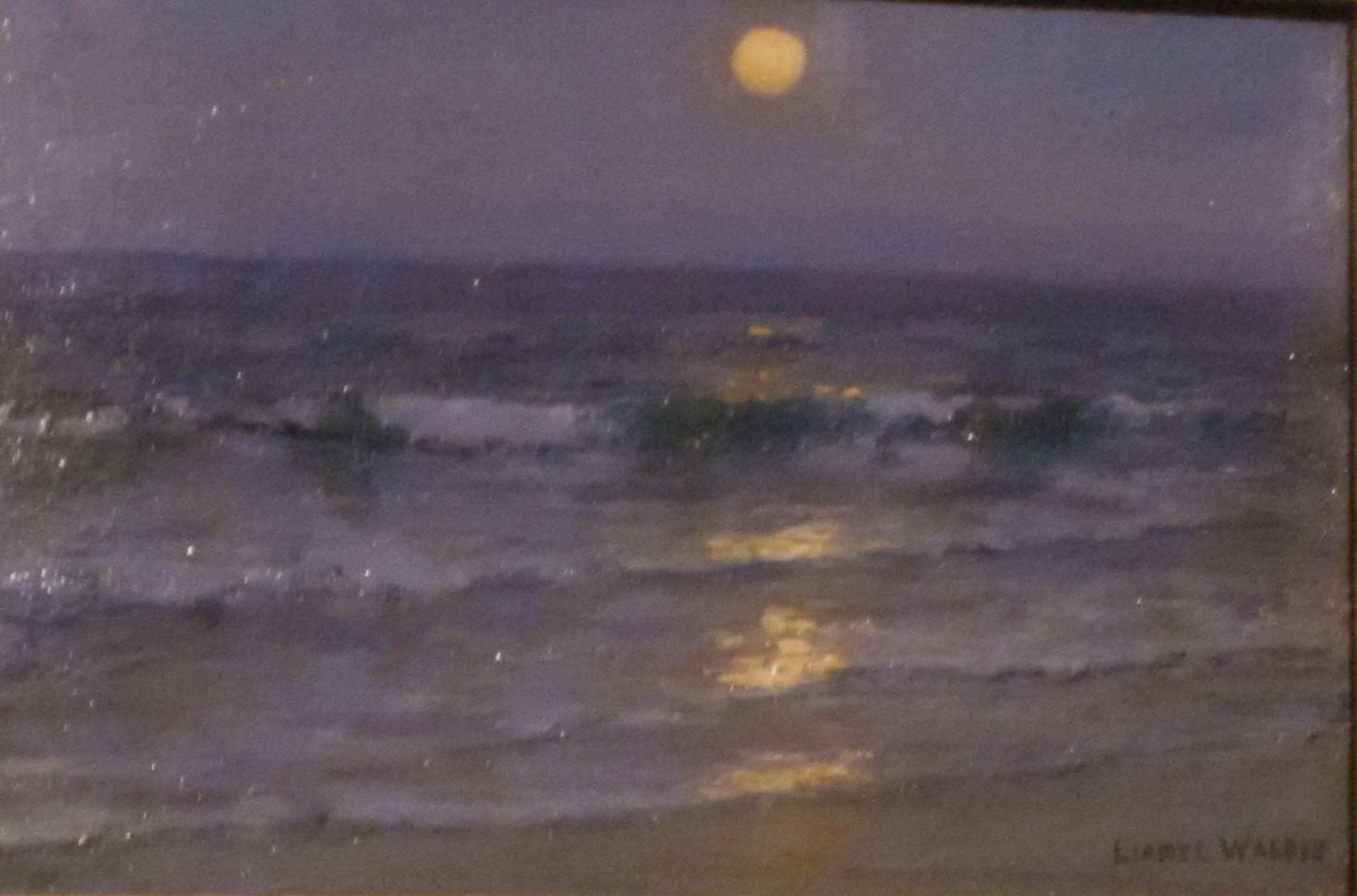 Waikiki Moonlight