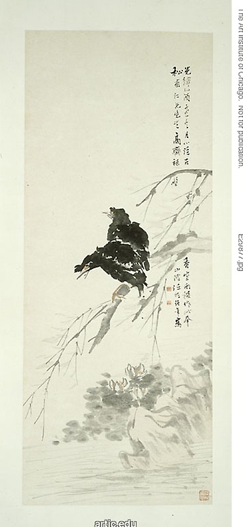 Mynah and Bamboo