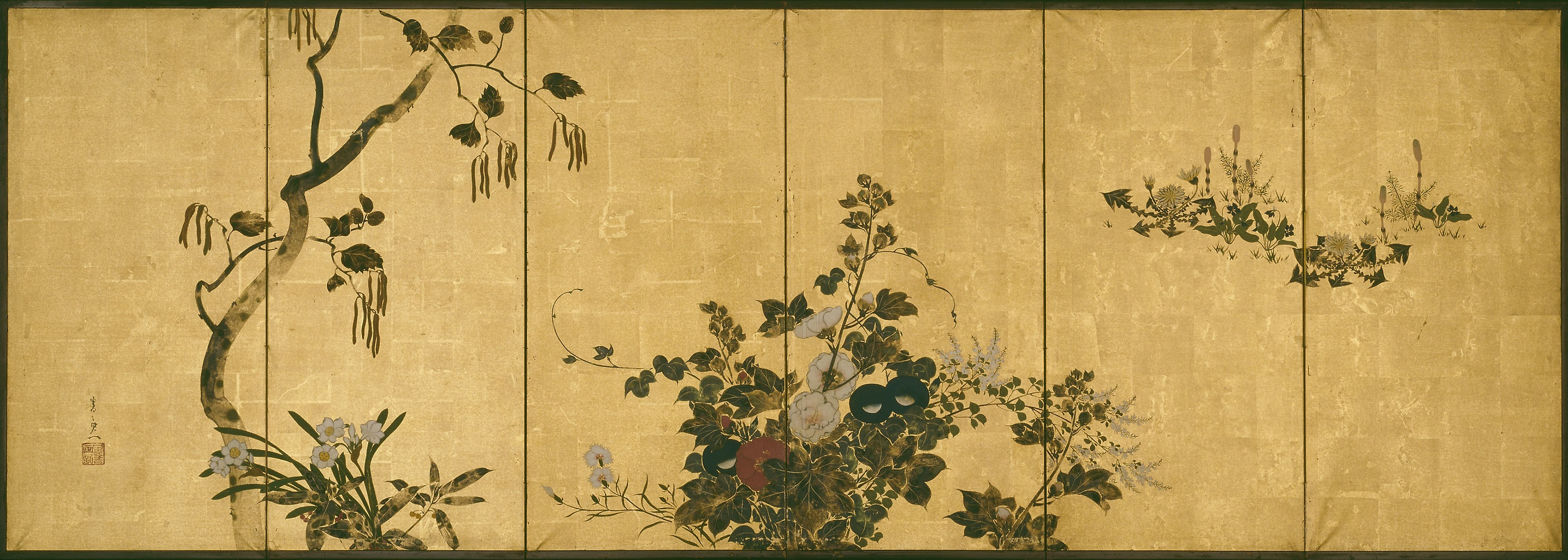 Flowers of Autumn and Winter