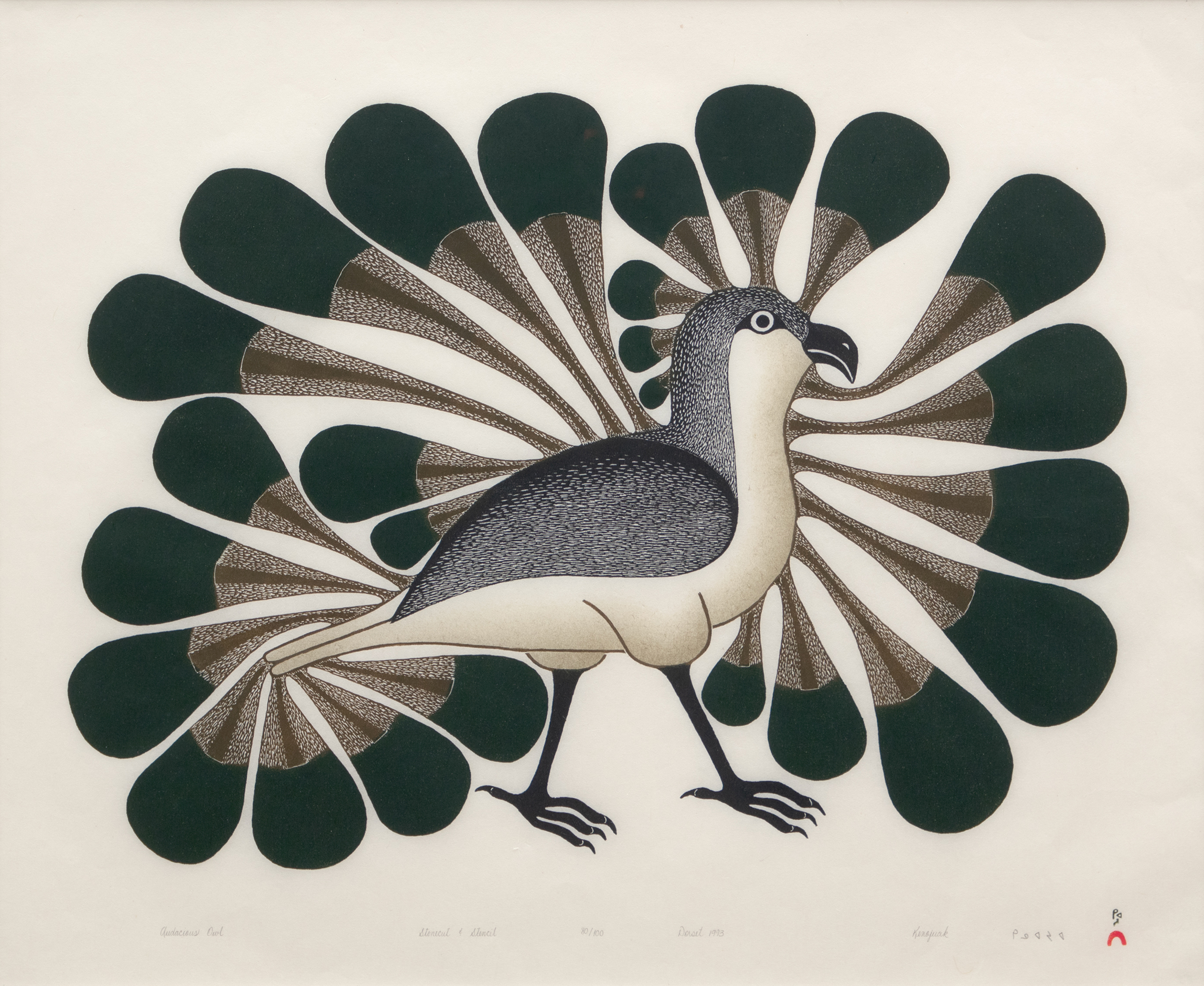 Audacious Owl, 1993