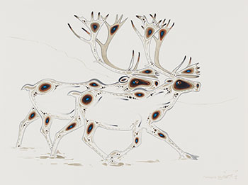 Caribou